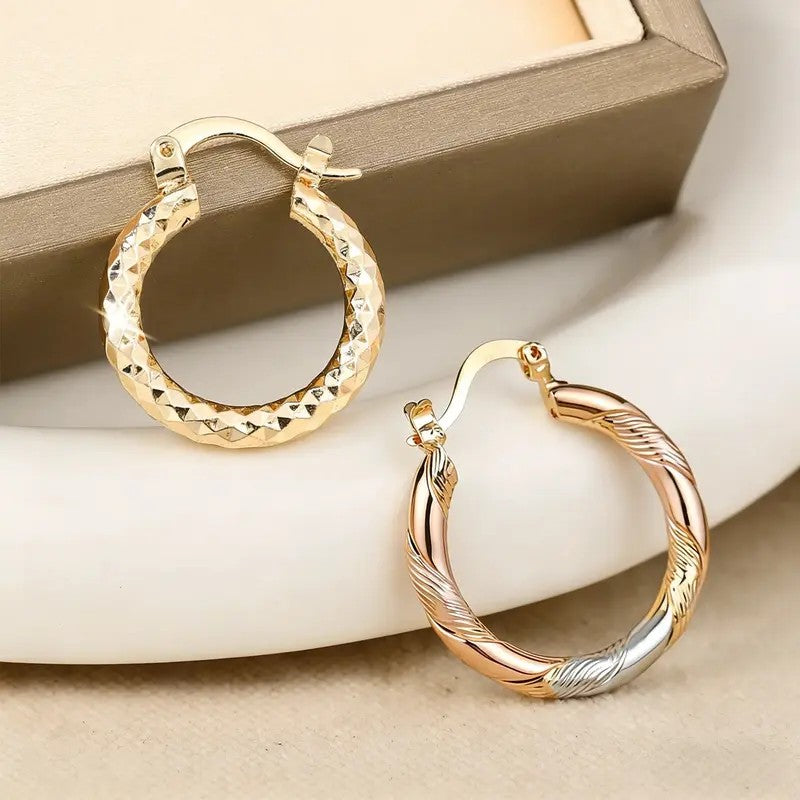 2pc Twisted Textured Hoop Earring Set