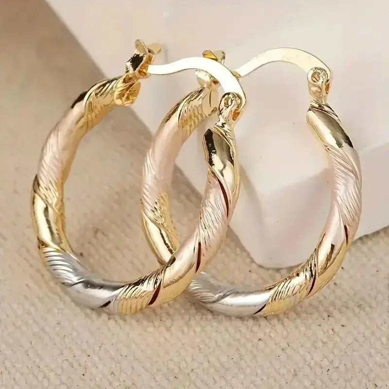 2pc Twisted Textured Hoop Earring Set
